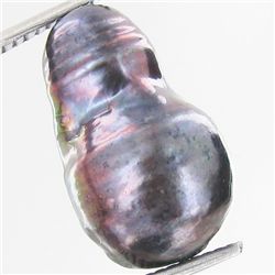 10.54ct Baroque Peacock Black South Sea Saltwater Pearl (GEM-33267)