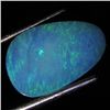 2.5ct Australian Black Opal Doublet Full Fire (GEM-36305)