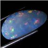 3.57ct Australian Black Opal Doublet Full Fire (GEM-35929)