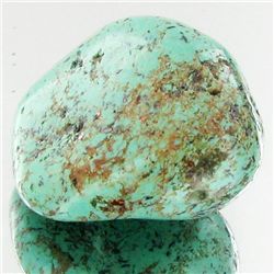 38.4ct Green Turquoise Freeform Cabochon (GEM-33818)