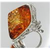 93ct Baltic Amber White Gold Vermeil Ring (JEW-1786)