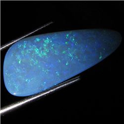 5.75ct Australian Black Opal Doublet Full Fire (GEM-36457)