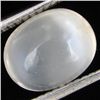 3.20ct Moonstone Cat's Eye Cabochon (GEM-31143)
