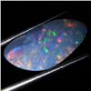 3.55ct Australian Black Opal Doublet Full Fire (GEM-36504)