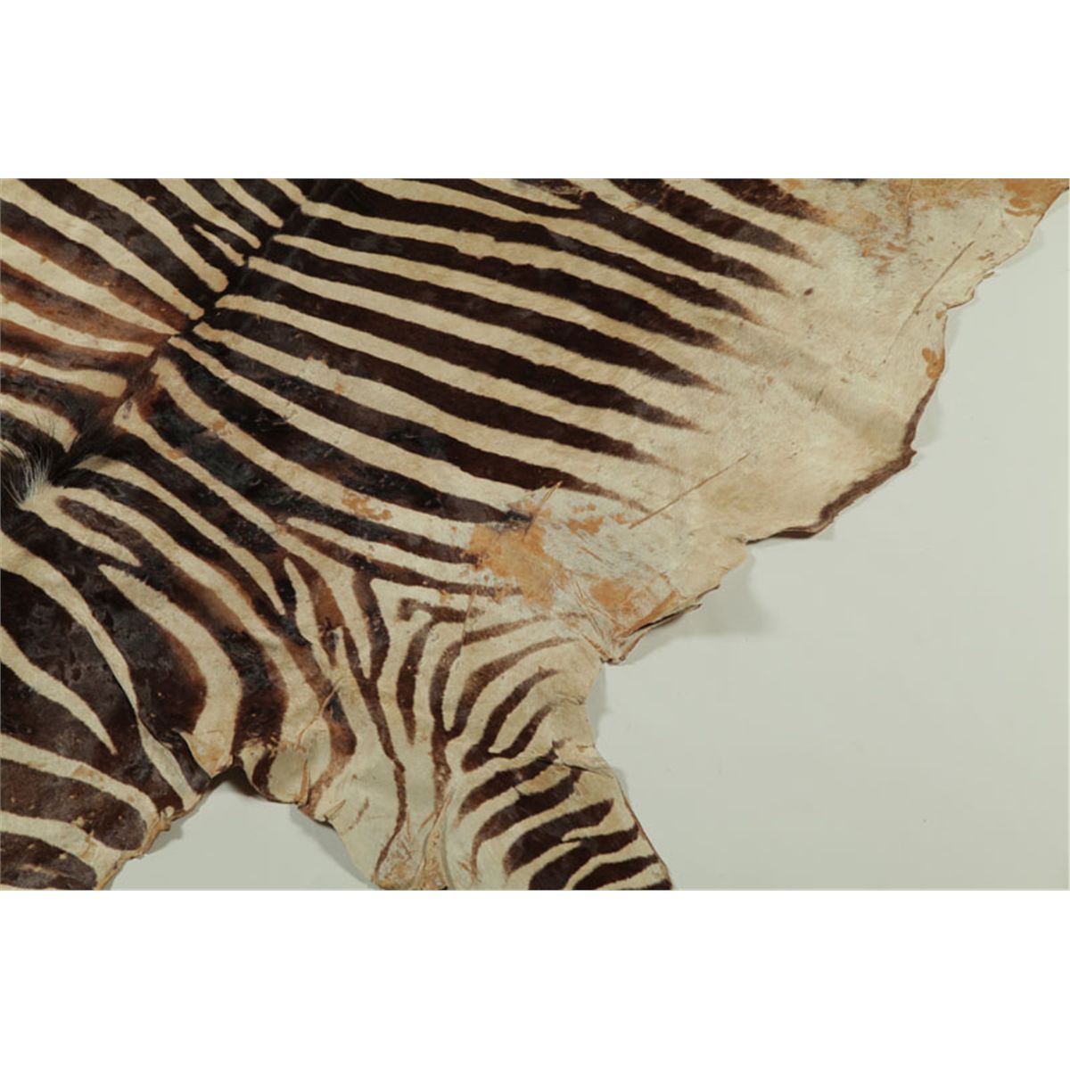 ZEBRA SKIN RUG.