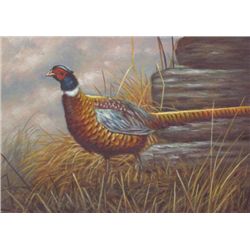 5 x 7 Oil on Board ~ Pheasant ~