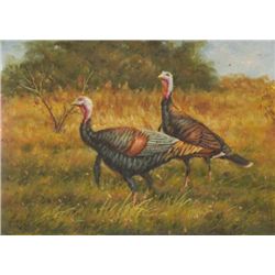 5 x 7 Oil on Board ~ Wild Turkeys ~