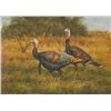 Image 1 : 5 x 7 Oil on Board ~ Wild Turkeys ~