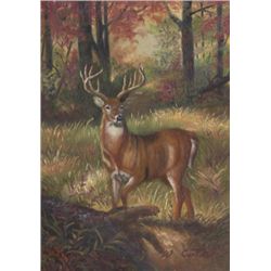 5 x 7 Oil on Board ~Deer in Woods~ Signed W. Coter