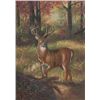 Image 1 : 5 x 7 Oil on Board ~Deer in Woods~ Signed W. Coter