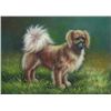 Image 1 : 5 x 7 Oil on Board ~Puppy in Field~