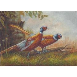 5 x 7 Oil on Board ~ Pheasants ~