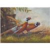 Image 1 : 5 x 7 Oil on Board ~ Pheasants ~