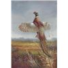 Image 1 : 5 x 7 Oil on Board ~Bird in Flight~ Signed W. Ceruti