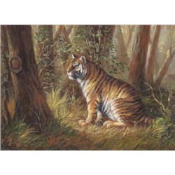 5 x 7 Oil on Board ~Tiger in Jungle~