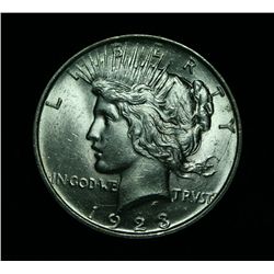 1923-d Peace Dollar Grades Select Uncirculated ms63  VAM 1C Rarity 6