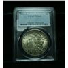 Image 1 : PCGS 1881-s Morgan Dollar Graded Choice Uncirculated ms64  PCGS
