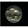 Image 2 : 1913-d TY I Buffalo Nickel 5c Grades Gem Uncirculated ms65