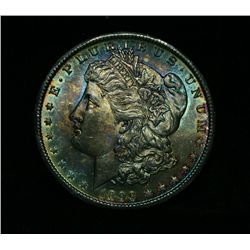 Beautifully Toned 1899-o Morgan Dollar Grades Gem Uncirculated ms65