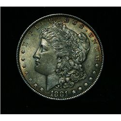 1881-p Morgan Dollar $1 Grades Choice Uncirculated ms64  Beautifully Toned