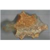 Image 2 : 2" Turtle carved out of rock.  From the Southwest