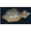 Image 3 : 2" Turtle carved out of rock.  From the Southwest