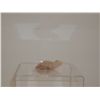 Image 2 : 2" Turtle carved out of stone.  From the Southwest