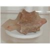 Image 4 : 2" Turtle carved out of stone.  From the Southwest