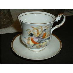 Queen's Birds of America cup and saucer Rosina China Co. LTD. bone china,  saucer is marked Haviland
