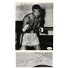 Image 1 : Sugar Ray Robinson Signed Photo