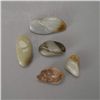 Image 6 : Five Small Carved Jade Toggles