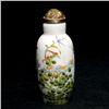 Image 1 : An Enameled Glass Snuff Bottle