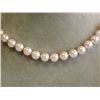 Image 1 : Colored Shell Pearl Necklace with Yellow Gold Clasp