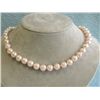 Image 2 : Colored Shell Pearl Necklace with Yellow Gold Clasp