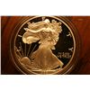 Image 1 : 1999 American Eagle Proof In Display Box