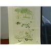 Image 1 : Two Japanese prints: stencil of crows by Akiyama Iwao, #7/100; and a colored etching of birds by Ush