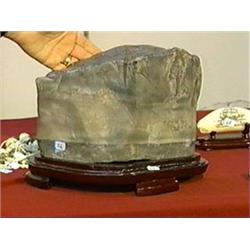 Chinese scholar's rock with attractive mottling and veining, wood stand
