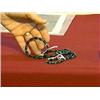 Image 1 : Two-piece set of Chinese dark green jadeite/chloromelanite bead jewelry: necklace and bracelet with 