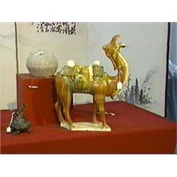 Well-detailed, Chinese T'ang-style, san t'sai-type glazed pottery model of a Bactrian camel with ogr
