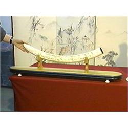 Well-carved and elaborately detailed, African ivory tusk/bridge with elephant, rhinoceros and water 