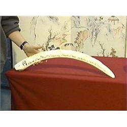 Well-detailed, African carved ivory tusk/bridge with rhinos and water buffalo designs (chips and sma