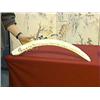 Image 1 : Well-detailed, African carved ivory tusk/bridge with rhinos and water buffalo designs (chips and sma