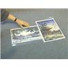 Image 1 : Two good, old Japanese woodblock prints by Koitsu: "Hakozaki Hachiman Shrine", 1938; and "Nijubashi"