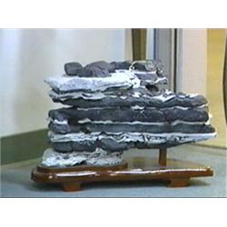 Large Chinese scholar's rock of mountainous from in horizontal layered gray and white  veins , wood 