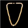 Image 1 : IVORY BEAD, METAL NECKLACE.