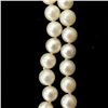 Image 2 : CULTURED PEARL,14K Y/G, TURQUOISE NECKLACE.
