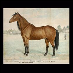 Francis Robjohns, Mike The Family Horse, Watercolor