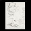 Image 1 : JAVIER VILATO, Woman in the Garden, Ink