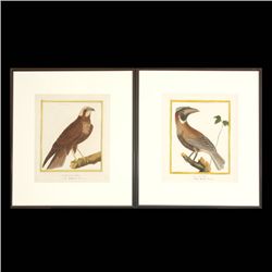 FRANCOIS NICOLAS MARTINET, Two works