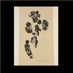WITOLD-K, Les Crevasses, Portfolio